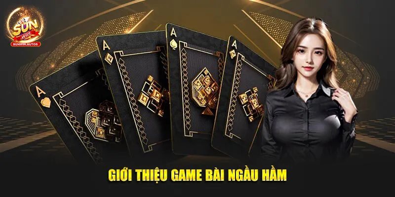 Bài Ngầu Hầm - Cách Chơi Hiệu Quả Giúp Đánh Nhanh Thắng Lớn 1 Vài nét cơ bản về bài ngầu hầm bet thủ cần nắm